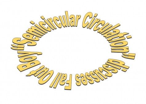 “Semicircular Circulation” discusses Fall Out Boy