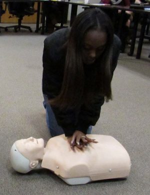 Hillcrest High School Junior Rayel Gilliam begins compressions on her CPR dummy in order to practice crucial life-saving skills.