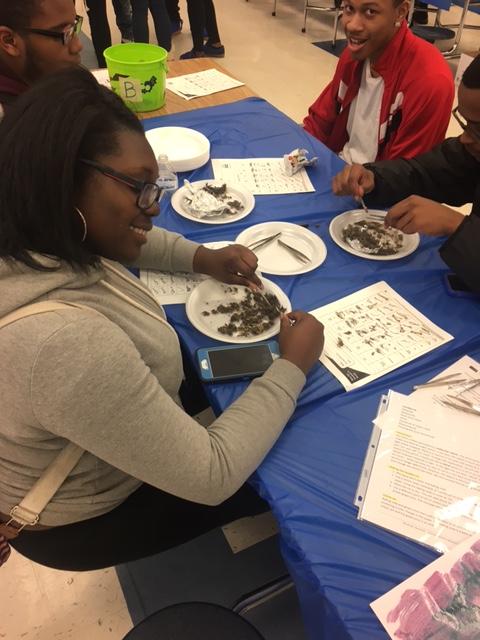 Kaitlyn Cooper, Junior: Dissecting the owl pellets was really fun and interesting! 