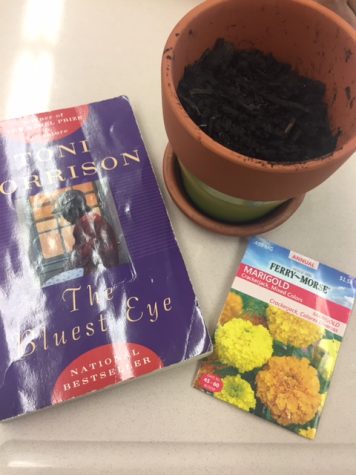 American Literature Students Create Responses to The Bluest Eye