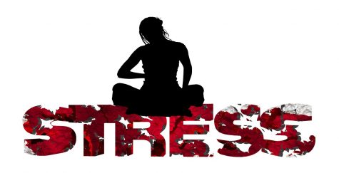 Dodging Stress
