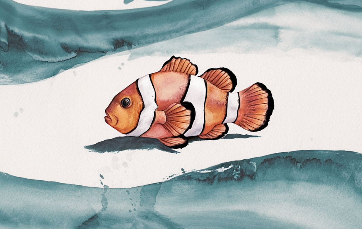 Swimming in Courage: What Finding Nemo Teaches Us About Life