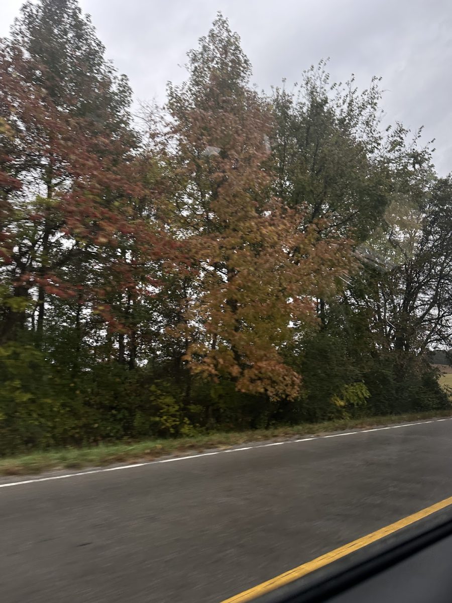 Fall: The Best of Them  All