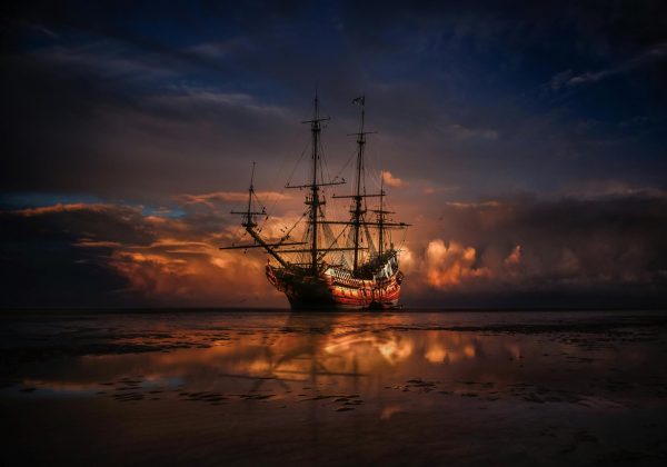 Photo by Zoltan Tasi on Unsplash
      