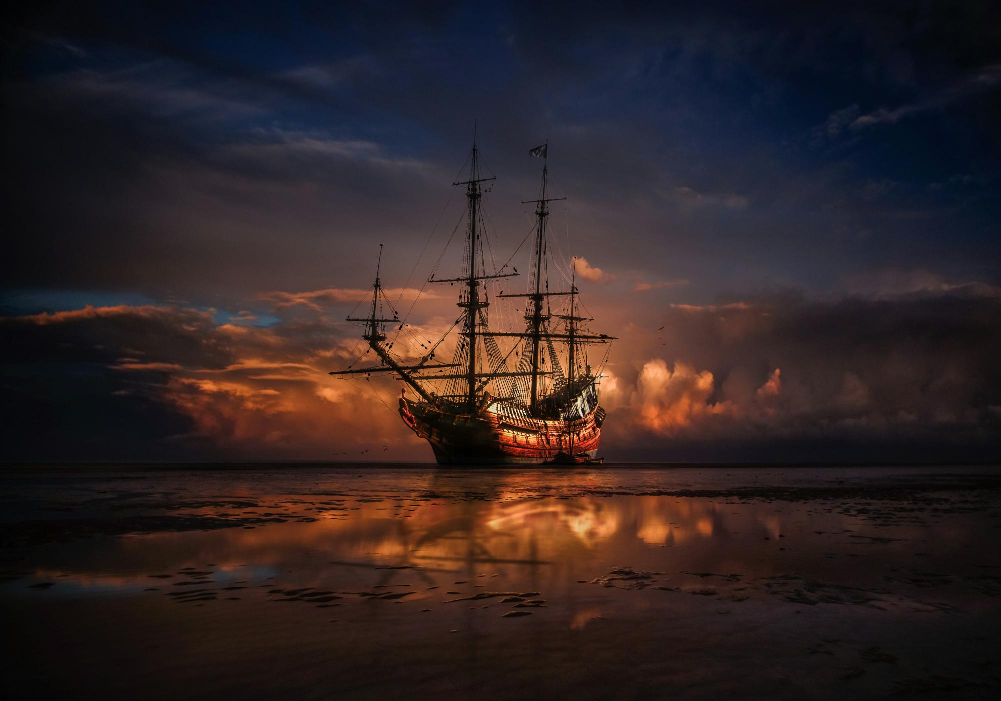 Photo by Zoltan Tasi on Unsplash
      